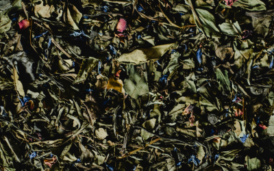 Les ingrédients naturels au cœur de nos créations